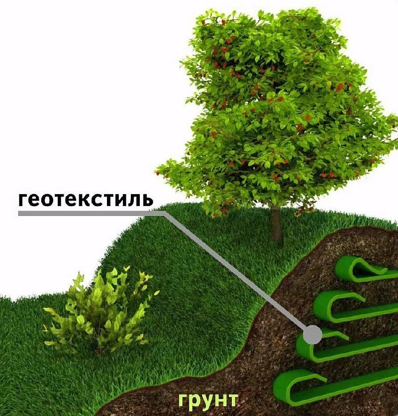 Деревья дренаж. Укрепление склона. растения для укрепления склонов. деревья на участке. геотекстиль на участке.