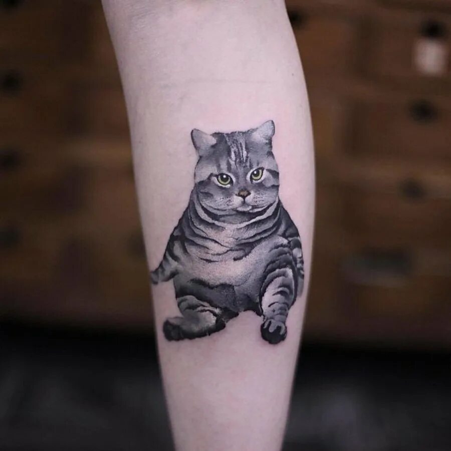 Татуировка кот значение. Тату кот. тату британский кот. тату кота на руке. тату вислоухого кота.