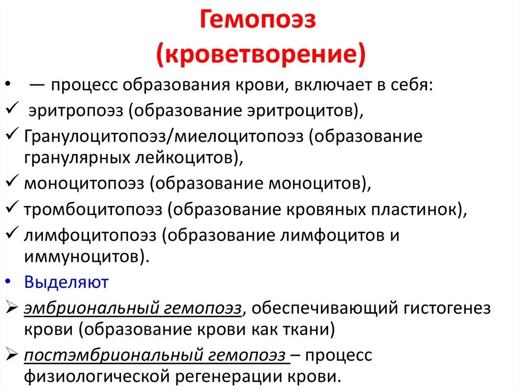 Стадии развития крови. Процесс гемопоэза. Процесс кроветворения. Процесс образования клеток крови. Гемопоэз кратко.