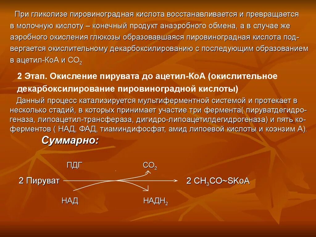 Пировиноградная кислота образуется в результате. Гликолиз ПВК молочная кислота. Молочная кислота окисление пировиноградной. Гликолиз пировиноградная кислота. Молочная кислота конечный продукт.