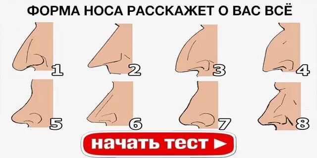 Формы носа. Форма носа у рас. формы носа у мужчин. носы по национальности. формы носов.