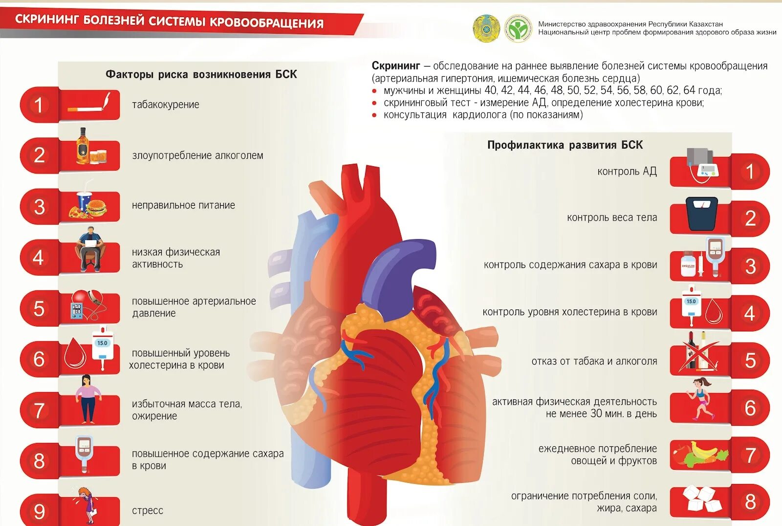 Первичная профилактика ссс заболеваний. Профилактика заболеваний кровеносной системы. Календарь болезней профилактик. Профилактика заболеваний кровеносной системы. Профилактика болезней системы кровообращения.