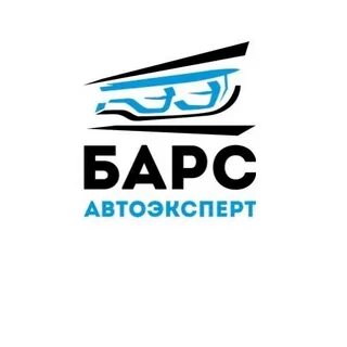 Барс омск