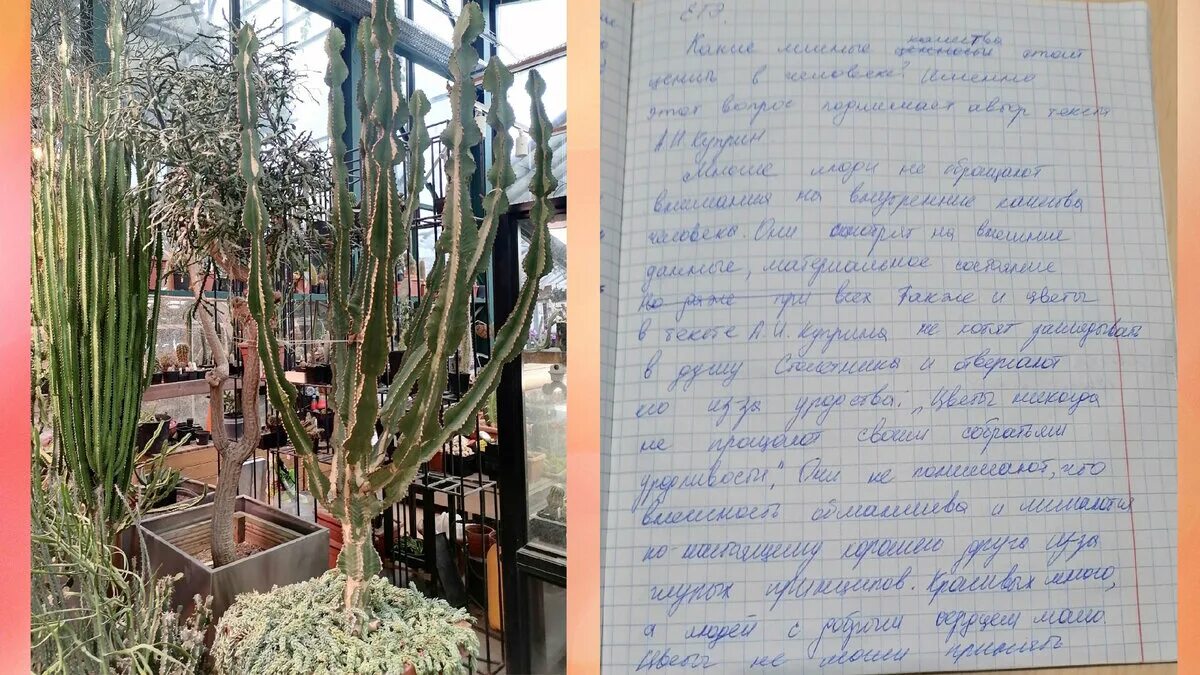 Столетник куприн проблема. Столетник куприн проблема