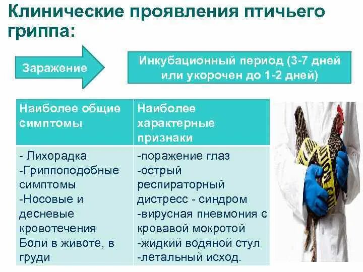 Какие признаки птичьего. Инкубационный период птичьего гриппа. гриппоподобные симптомы.