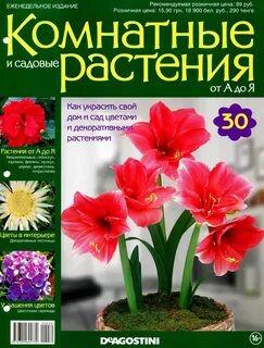 Комнатные и садовые растения