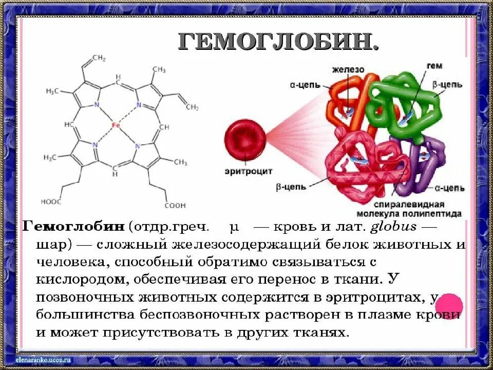 Ионы железа входят в состав гемоглобина крови. Железо в гемоглобине. Структура железа в гемоглобине. Молекула гемоглобина. Гемоглобин содержит железо.