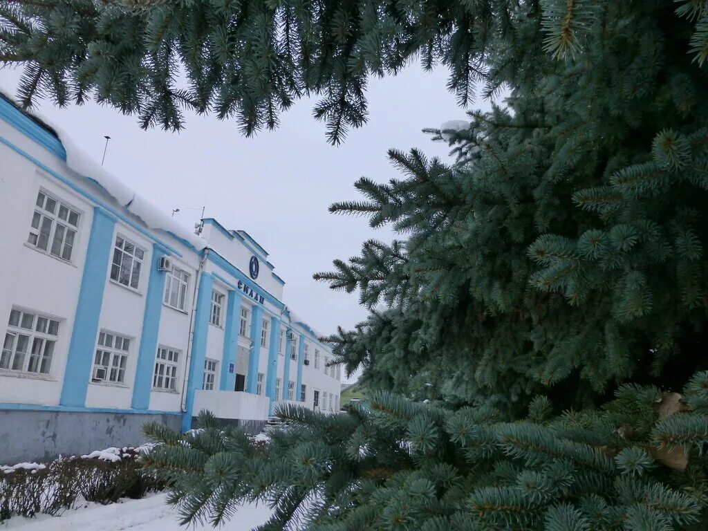 оао силан данковский химзавод. данковский химический завод оао силан. филиал ао «гниихтэос» «силан». данковский химический завод оао силан. завод силан данков.