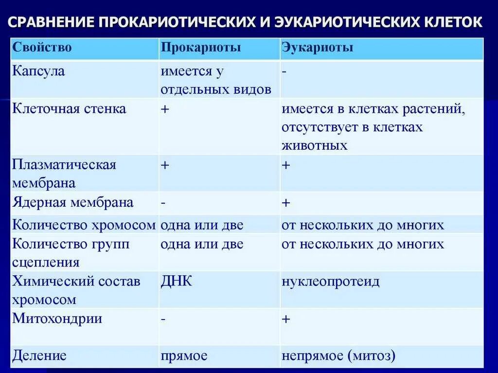 Сравнение клеток прокариотов. Таблица 3 сравнение клеток прокариот и эукариот. Строение клеток прокариот и эукариот таблица. Клетка Прокариотическая и эукариотическая сравнение. Сравнение строения прокариот и эукариот таблица.