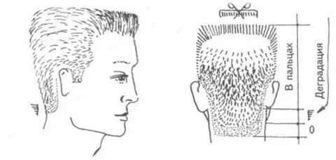 Переход от теменной зоны к затылочной в мужских стрижках.