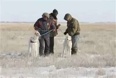 Погода р п быково волгоградской. Погода р п быково волгоградской. Погода р п быково волгоградской. Погода р п быково волгоградской. Быково волгоградская область на карте.