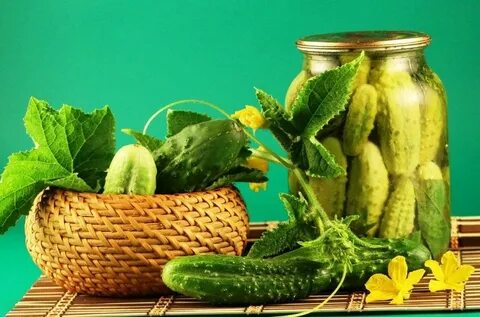Дни для засолки огурцов