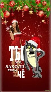 Новый заходить