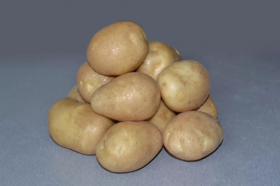 Картофель семенной удача. Сорт картофеля Наяда. Сорт картофеля удача. Сорт картофеля Тимо. Купить семенной картофель в краснодарском крае