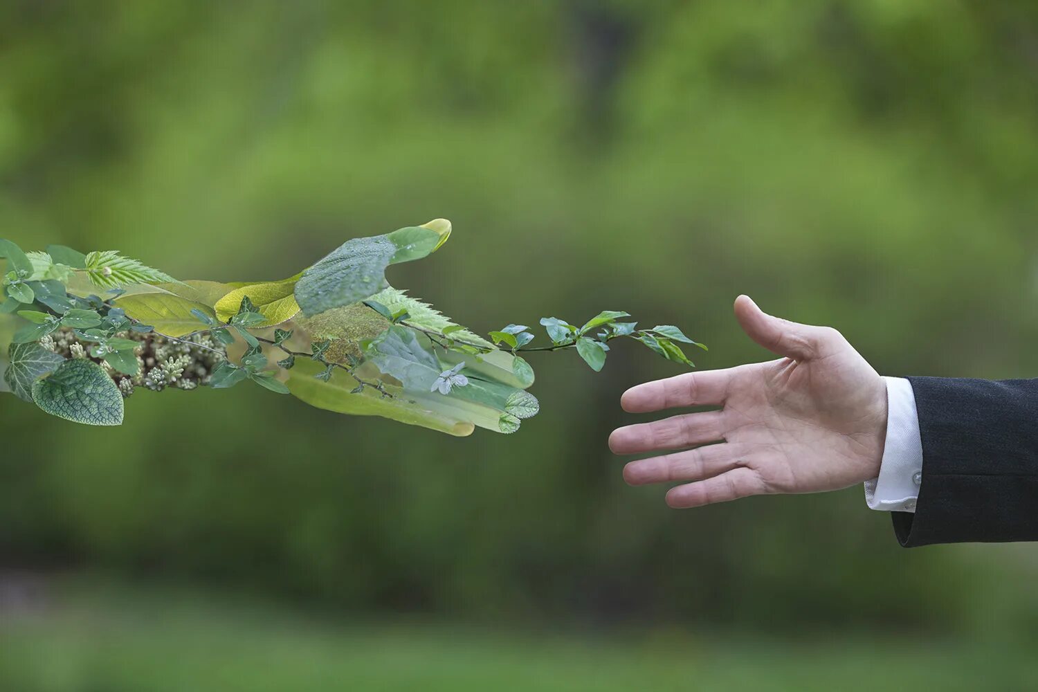 Looking at the future and the environment
