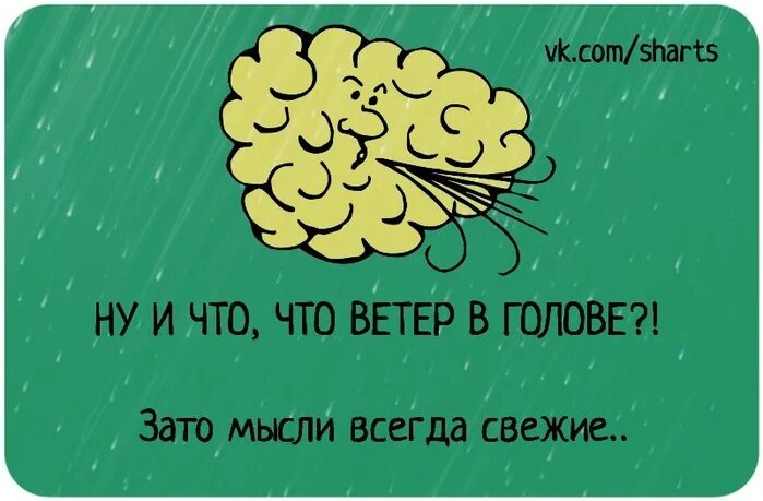 Ветер в голове. Ветер в голове фразеологизм. Ветер в голове цитаты. Ветер в голове рисунок.