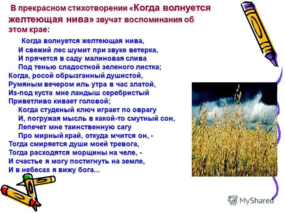 Композиция стихотворения когда волнуется желтеющая нива. Композиция стихотворения когда волнуется желтеющая нива