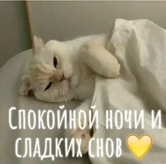 Пикча спокойной ночи