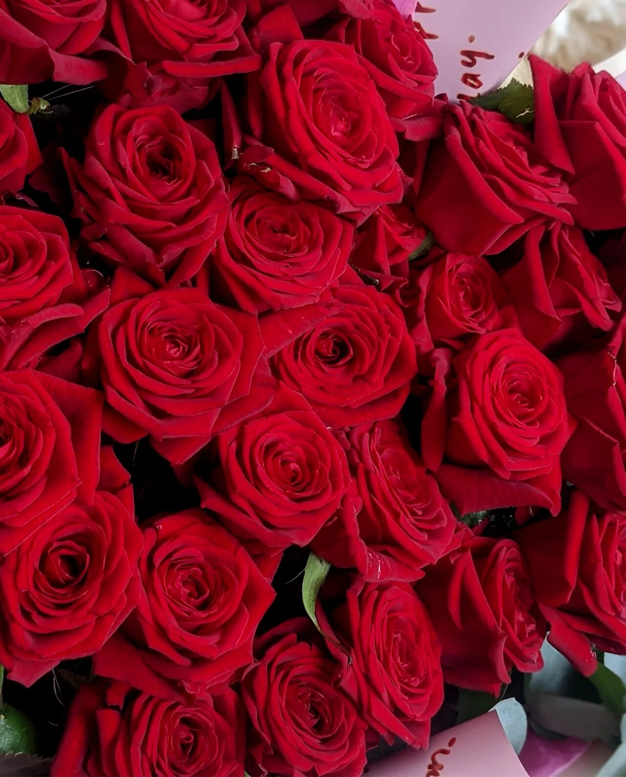 Купить розы в гомеле. Букет роз. 37 Красных роз.