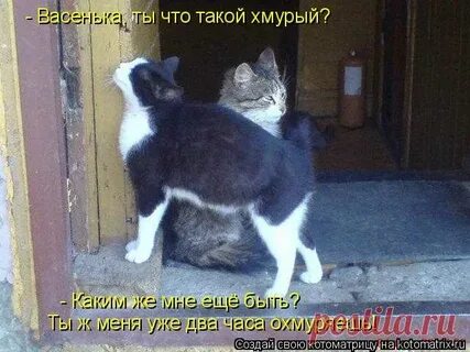 И так и этак