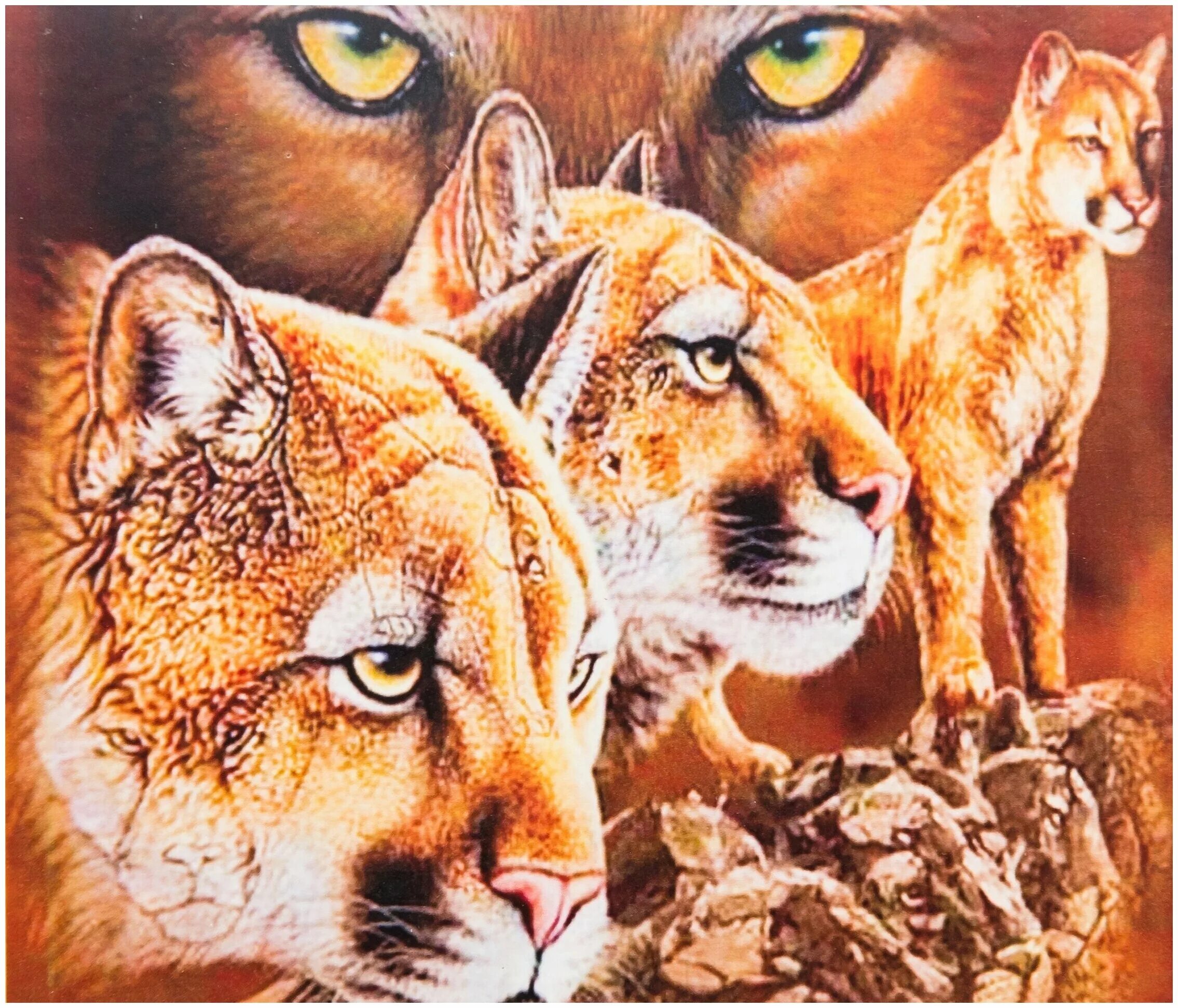 Алмазная мозаика loshad. Алмазная мозаика кони лошади. Алмазная мозайка семья тигров. Алмазная мозаика 5d lt0139. Алмазная мозаика дикие кошки.