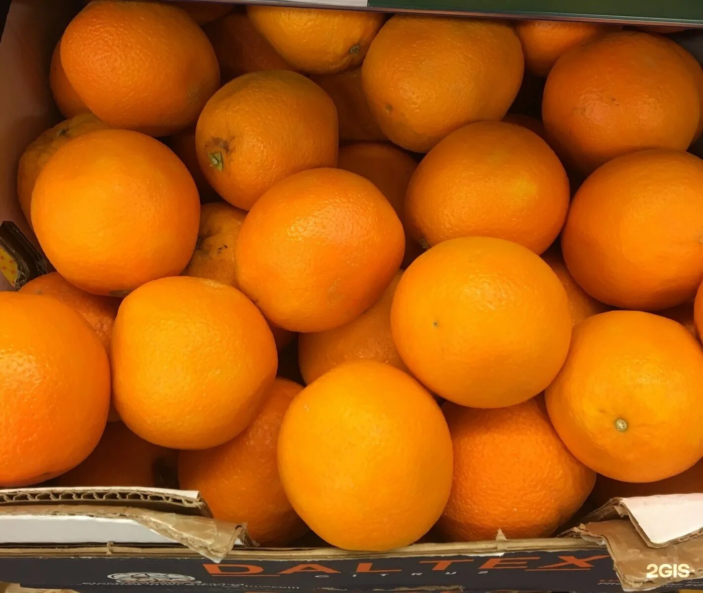 Килограмм апельсинов через. Апельсин Египет, вес. Апельсины оптом. Апельсины дешево. Апельсины для сока, 1 кг.