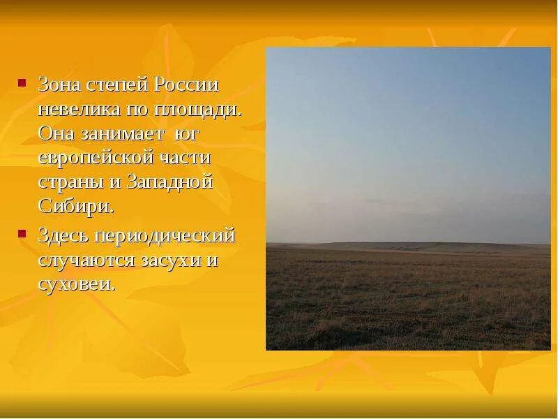 Степная зона Западной Сибири. Степи европейской части России. Занимаемая территория степей. Зона степей России.