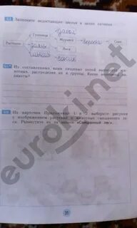 Заполните недостающие звенья схемы
