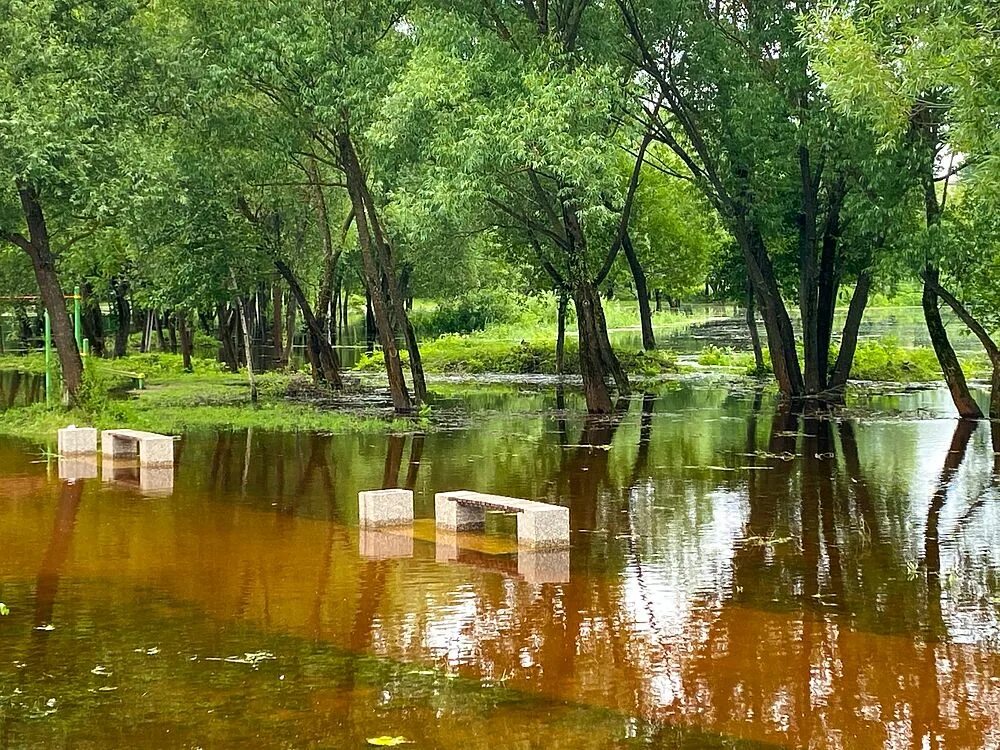 Затопленный парк. Демский парк. Баташевский сад тула баташёвский сад фото. Парк сфинкс армавир. Затопленный парк.