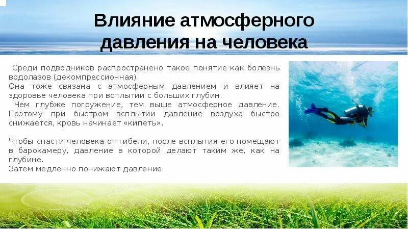 Влияние давления на атмосферный воздух. Влияние атмосферного давления на живые организмы. атмосферное давление в природе. влияние атмосферного давления на человека и животных. влияние атмосферного давления на человека физика.
