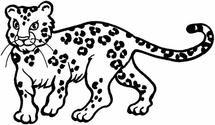 Leopard Coloring Pages Printable PDF - Coloringfolder.com Animal coloring pages,
