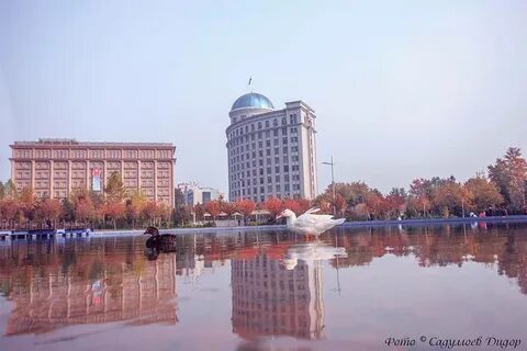 Погода в душанбе в ноябре