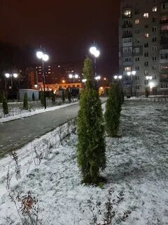 Тамбов декабрь