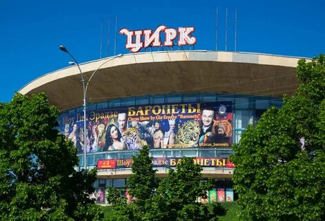 Самарский цирк