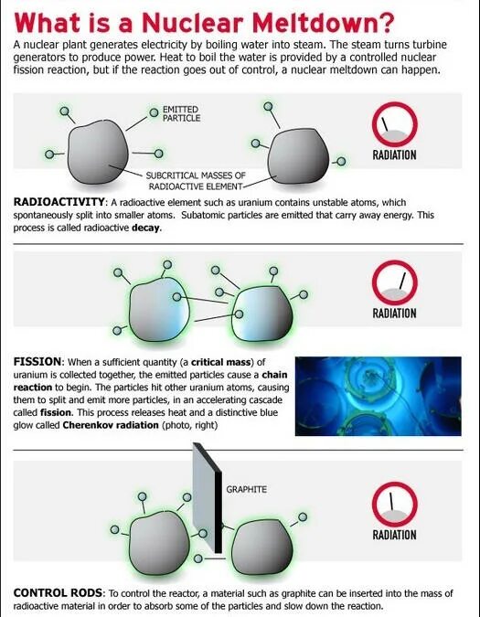 Нуклеус аккумбенс. Nucleus 2024. Nucleus 3. Нуклеус интермедиомедиалис. Nucleus.