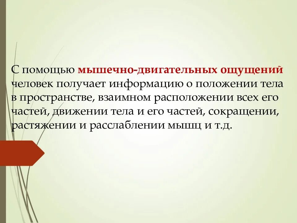 Каково значение мышечного чувства людей разных профессий. Мышечно двигательные ощущения. Ощущение движения тела. Ощущения человека, отражающие положение его тела в пространстве. Характеристика двигательных ощущений.