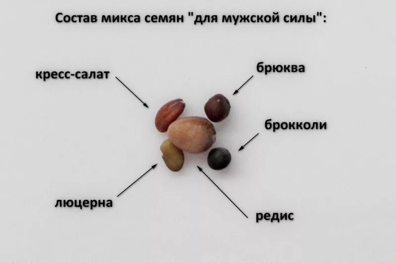 Почему у мужчины густая семенная. Состав мужского семени. Микс семян для проращивания. Состав микс семян.