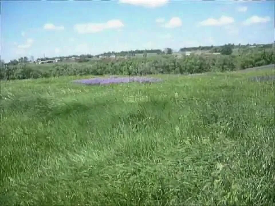 Село софьино саратовская область. Церковь софьино никиты великомученика. Село софьино саратовская область. Село софьино саратовская область. Село ключи саратовская область.