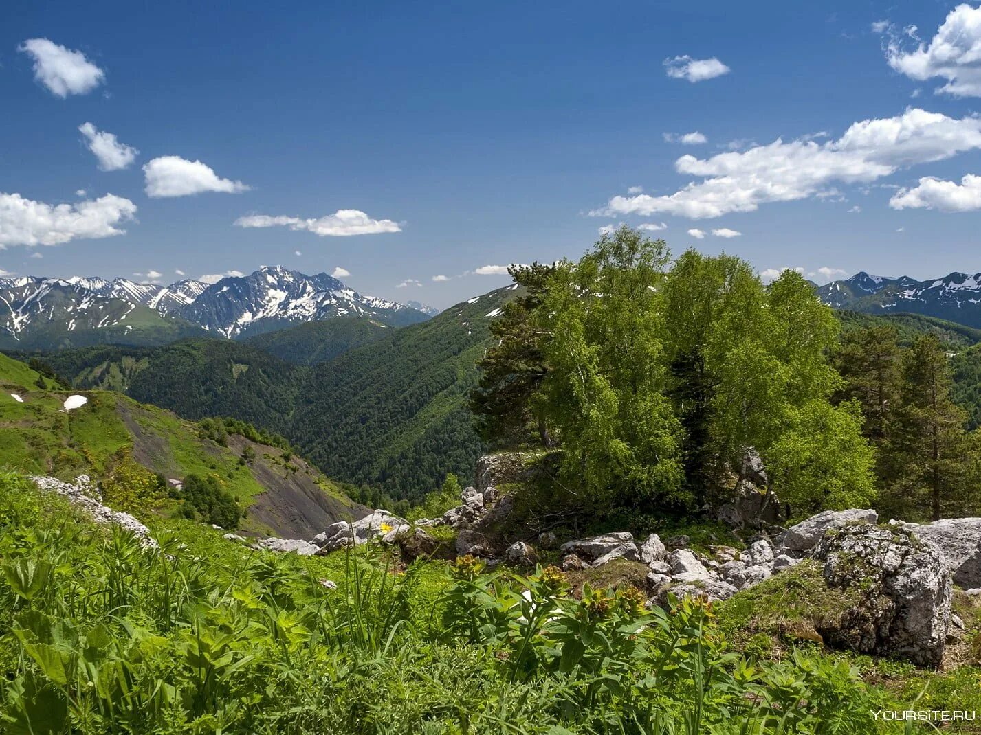 Фото заповедника краснодарского края