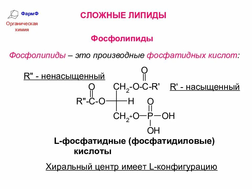 Связи липидов. Общая формула простых липидов. Классификация липидов с формулами. Липиды производные фосфатидной кислоты. Строение липидов формула.