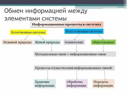 Приведите примеры материальных и информационных связей