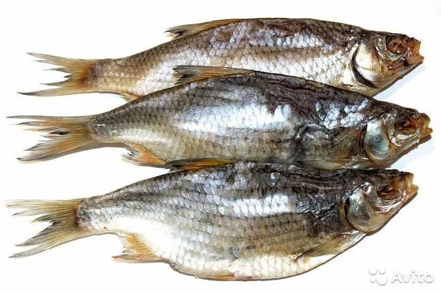Как выглядит вяленая рыба Раки и лангусты, fish and seafood Yandex Maps