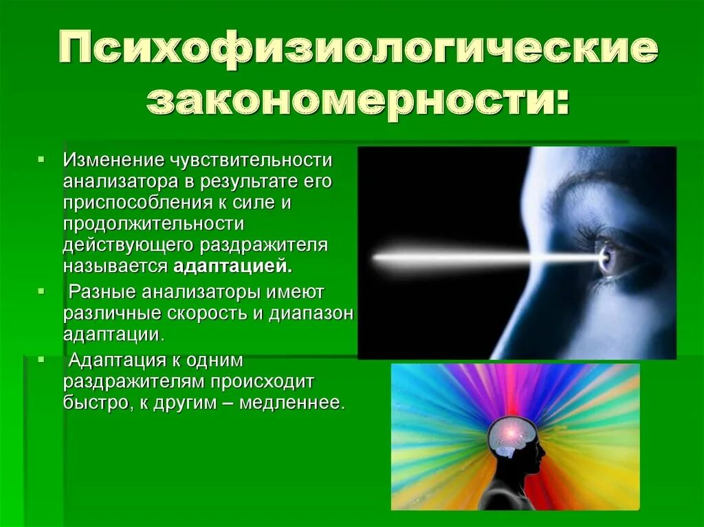 Психофизиологическое восприятие. Психофизиологические закономерности. Общие психофизиологические закономерности ощущений. Чувствительность анализаторов. Основные закономерности психофизиологического развития.