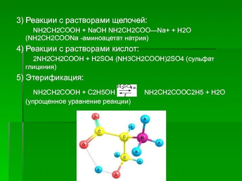 C2h5 2 NH реакция. Nh2-NH-ch3 реакции. Nh2ch2cooh nh2ch2coona реакция. Nh2-ch2-Cooh+h2s.