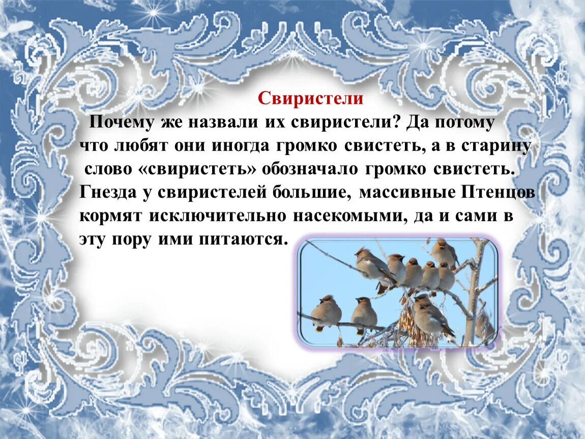 Свиристеть глагол. Птицы зимой рассказ. Свиристели глагол что обозначает. Почему свиристеля назвали свиристелем. Голодом страшна зима птицам а не холодом.