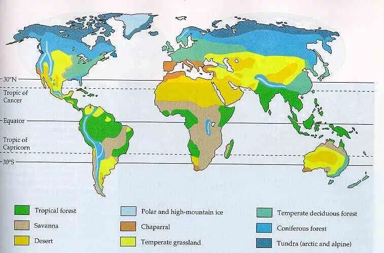 Биом саванна в майнкрафт. Карта биомов россии. Biomes o plenty изначальная долина. Основные биомы земли. Биомы суши карта.