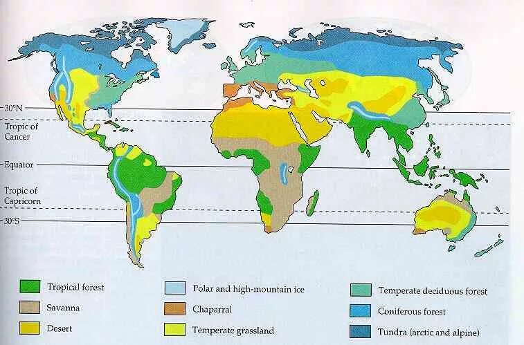 Биомы суши. Биомы земли. Основные биомы. Биомы России.