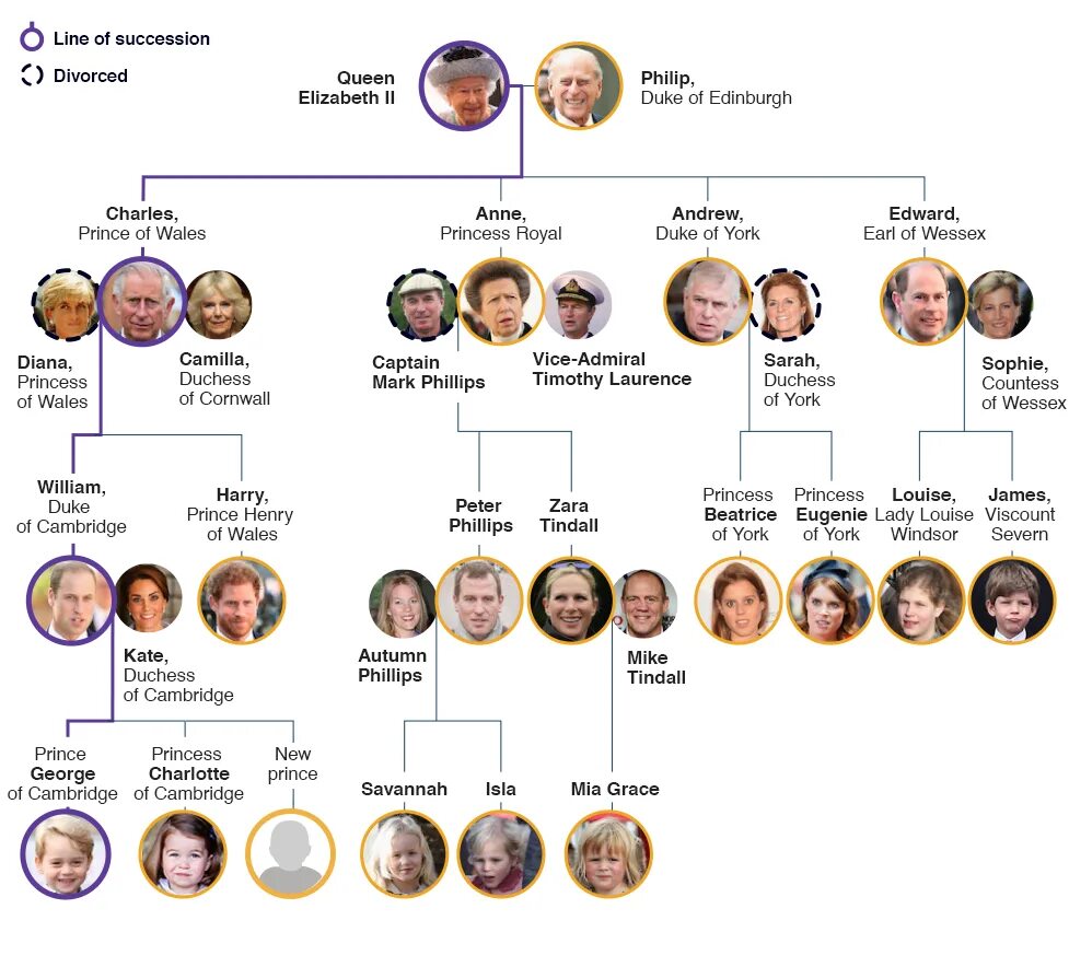 Генеалогическое Древо семьи Виндзоров. Виндзоры Династия генеалогическое Древо. Семья Елизаветы 2 семейное Древо. Королевская семья Виндзоров Древо. Престолонаследие по мужской линии