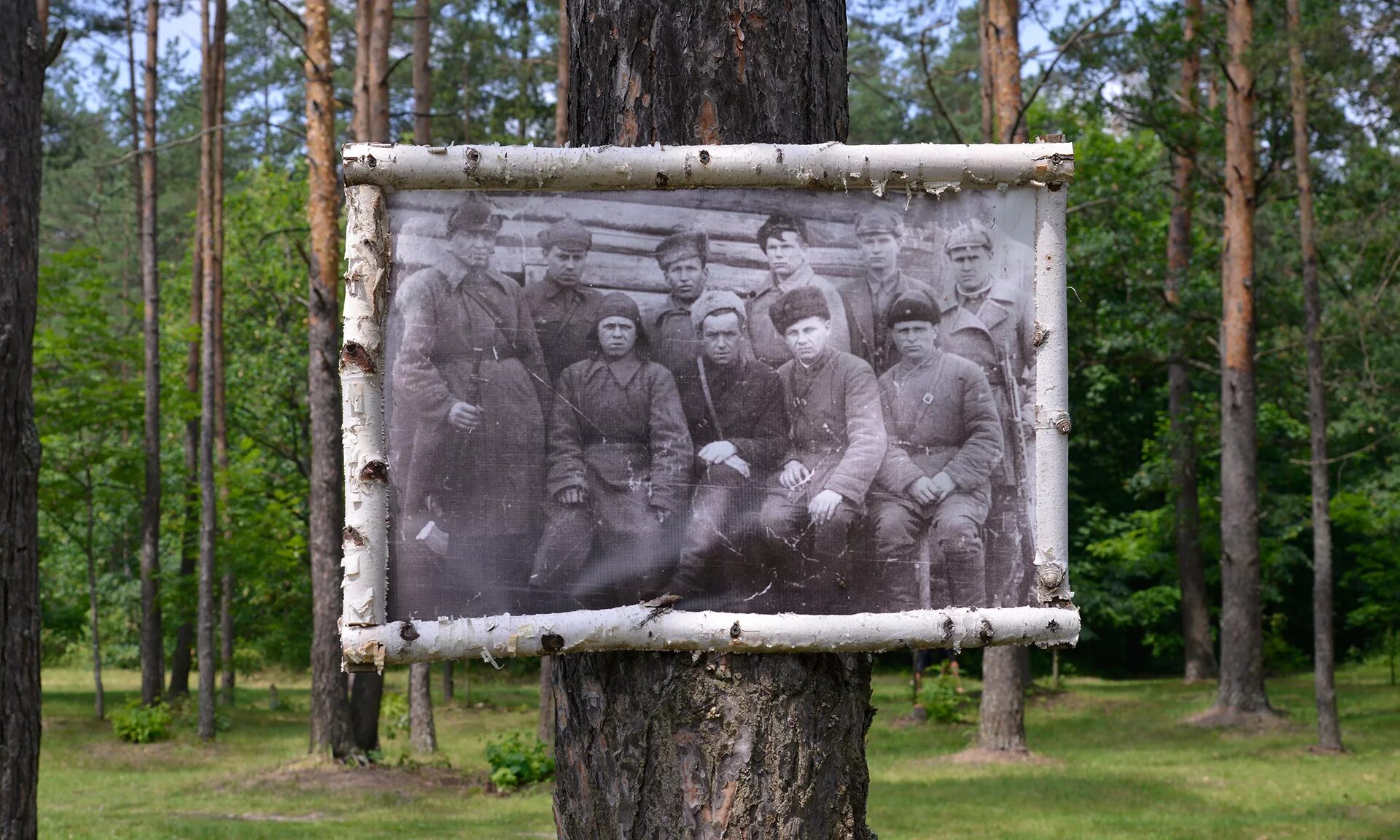 Лес у володи. Мемориальный комплекс «Партизанская Поляна». Брянский лес музей Партизанский лагерь. Партизанская деревня Брянск. Партизанская Поляна Брянск.