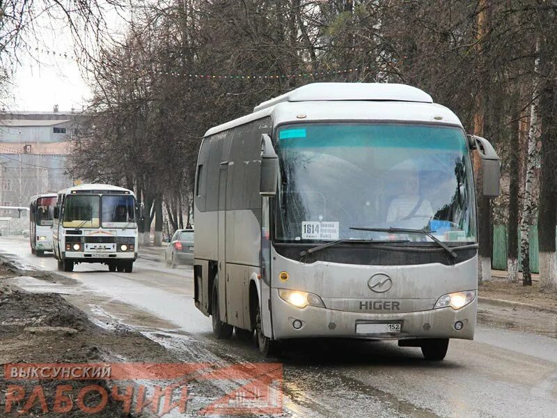 Автобус 614 Нижний Новгород Выкса. Выкса Нижний Новгород автобус. Автобусы Выкса. Автобус 1614 Нижний Новгород Выкса.